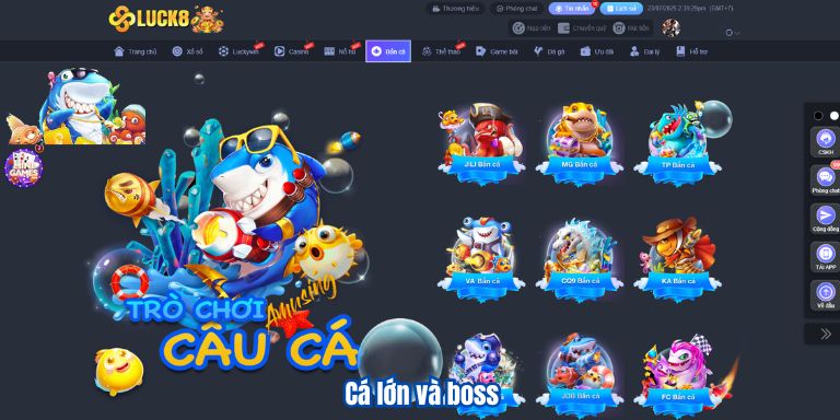Cá lớn và boss
