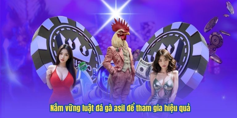 Nắm vững luật đá gà asil để tham gia hiệu quả